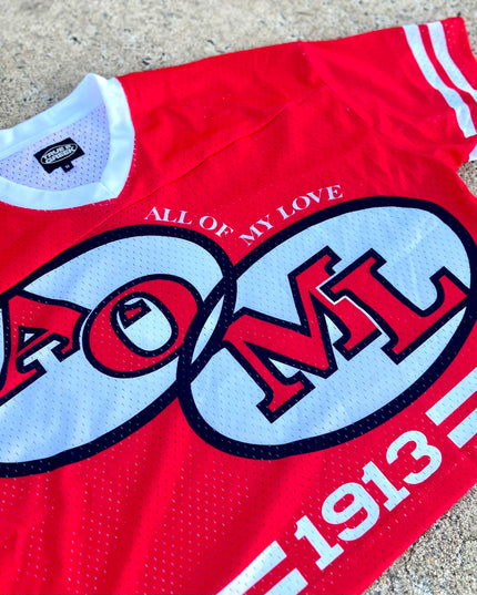 Delta ‘AOML’ Mesh Jersey (Oversized +Cropped)