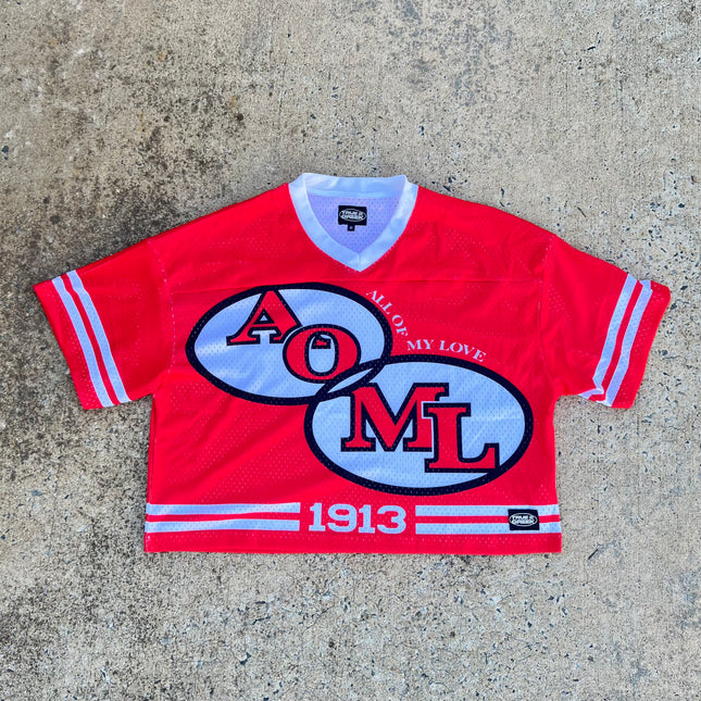 Delta ‘AOML’ Mesh Jersey (Oversized +Cropped)