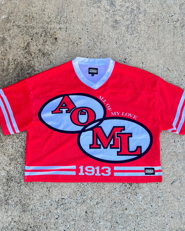 Delta ‘AOML’ Mesh Jersey (Oversized +Cropped)